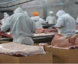 MEJORES PRECIOS ESTIMULAN LA PRODUCCIÓN Y SUSTENTAN LA RECUPERACIÓN DE MERCADOS