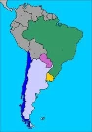 LOS PAÍSES DEL CONO SUR SUSPENDIERON LAS IMPORTACIONES DE CARNE PARAGUAYA POR EL BROTE DE FIEBRE AFT
