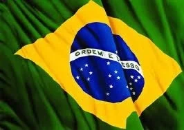 FUSIÓN DE SADIA Y PERDIGÃO