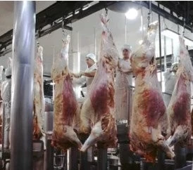 ARGENTINA: LAS EXPORTACIONES DE CARNE AUMENTAN MÁS DE 30% EN 2017