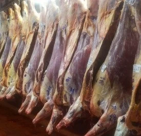 AGROINDUSTRIA Y AFIP UNIDOS CONTRA LA EVASIÓN EN LA CADENA CÁRNICA