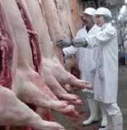 CON ACUERDOS Y DISENSOS, EL SECTOR PORCINO ARGENTINO SIGUE CRECIENDO EN EL PAÍS Y MEJORA SU PERFORMA