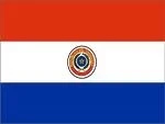 PARAGUAY: POLLOS CON UNA PATA EN LA U.E, SOLO HACE FALTA LA CERTIFICACIÓN