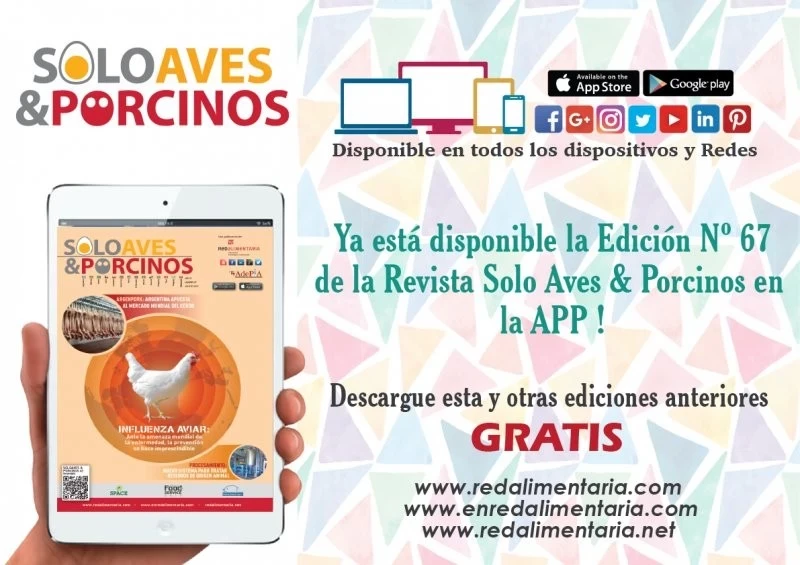 REVISTA SOLO AVES & PORCINOS Nº67 DISPONIBLE EN LA APP