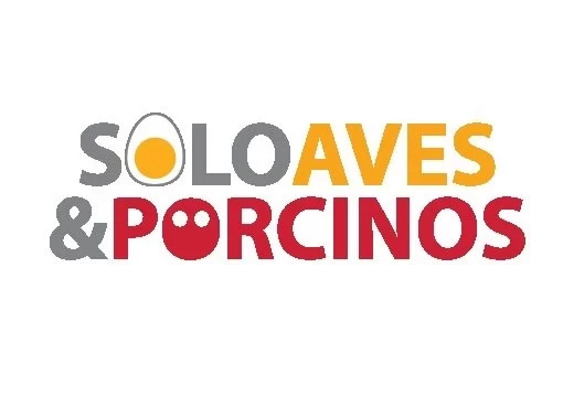 NUEVAS HERRAMIENTAS PARA MAYORES EXIGENCIAS