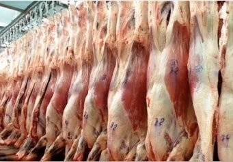 COLOMBIA: REACCIONES DE LOS EXPORTADORES ANTE EL CIERRE DE MERCADOS POR AFTOSA