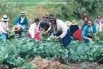15 DE OCTUBRE: DÍA DE LA MUJER RURAL