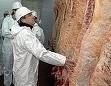 ARGENTINA: CHACO FAENA ENTRE 1.000 Y 1.500 CABEZAS POR DIA EN FRIGORIFICOS Y MATADEROS MUNICIPALES