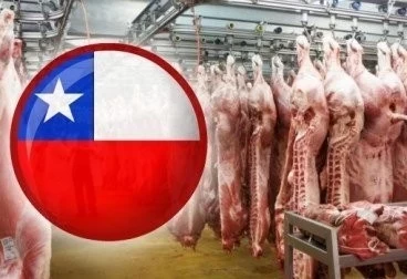 CHILE ABRE SU MERCADO A LA CARNE BOVINA PROCEDENTE DE COLOMBIA