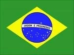 BRASIL VE REDUCIDAS SUS EXPORTACIONES DE CARNE DE AVES