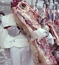 ARGENTINA: AUMENTO EN LAS AUTORIZACIONES PARA EXPORTAR CARNES Y MENUDENCIAS