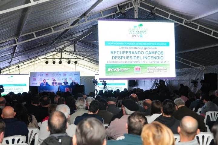 DESPUÉS DEL INCENDIO: MÁS DE 400 PRODUCTORES EN LA JORNADA A CAMPO DEL IPCVA EN LA PAMPA