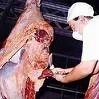 GALICIA CUENTA CON UNA NUEVA MARCA DE CALIDAD PARA LA CARNE DE VACUNO: VAC1