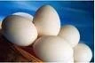 ARGENTINA: CRECE LA EXPORTACION DE HUEVOS FRESCOS Y OVOPRODUCTOS