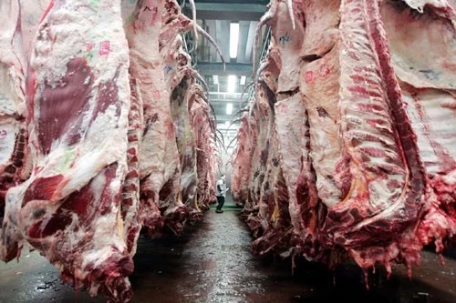 RUSIA Y CHINA REDUCEN LAS COMPRAS DE CARNE ARGENTINA