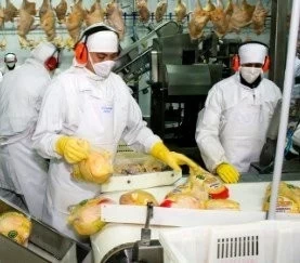 YA SE PUEDE REALIZAR LA CERTIFICACIÓN ELECTRÓNICA PARA EXPORTAR CARNE FRESCA AVIAR