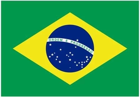 BRASIL AL TOPE DEL RANKING DE EXPORTACION DE CARNE BOVINA