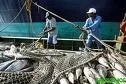 ESPAÑA: NUEVA LONJA DE PESCADORES ESTARA EN FUNCIONAMIENTO EN EL MES DE JULIO