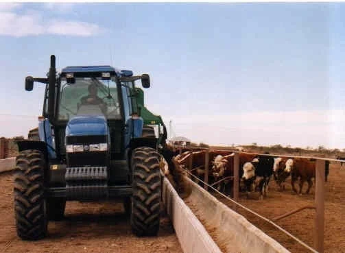 LEY DE FEED LOT: AVANZA A PASOS AGIGANTADOS