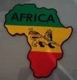 AFRICA: LAS EXPORTACIONES DESDE ARGENTINA SUPERARON LOS 2.540 MILLONES DE DOLARES