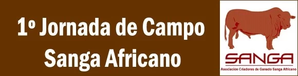 ARGENTINA: 1ER JORNADA GANADERA SANGA AFRICANO