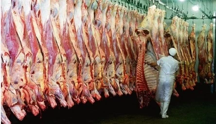 BRASIL COLOCÓ EN OCTUBRE MÁS DE 36.000 TON. DE CARNE VACUNA A CHINA