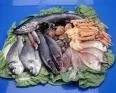 EXPORTACIONES DE PESCADOS Y MARISCOS 1ER SEMESTRE