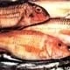 PESCADOS: MÁS DE 182 MILLONES DE DÓLARES EN EXPORTACIONES DURANTE EL PRIMER CUATRIMESTRE