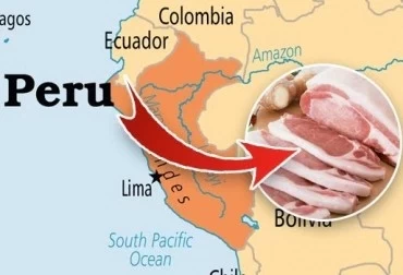 PERÚ SE PROPONE COMO OBJETIVO EXPORTAR CARNE PORCINA A PARTIR DE 2018