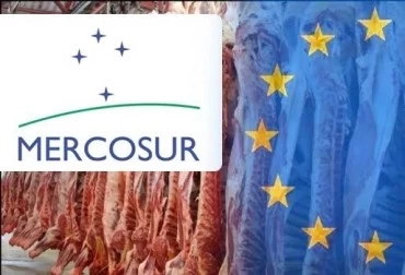 MERCOSUR ANTICIPA EXPORTAR MÁS CARNE CON DESTINO A LA UNIÓN EUROPEA