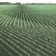 PROPUESTA PARA EL CAMPO