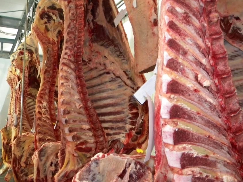 EGIPTO EN LA MIRA: PARAGUAY QUIERE EXPORTAR SU PRESTIGIOSA CARNE AL MERCADO ARABE