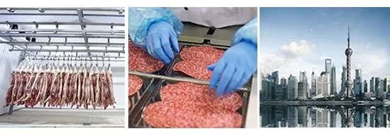 APROVECHE EL POTENCIAL EMERGENTE DE LA INDUSTRIA CHINA EN MEAT EXPO CHINA