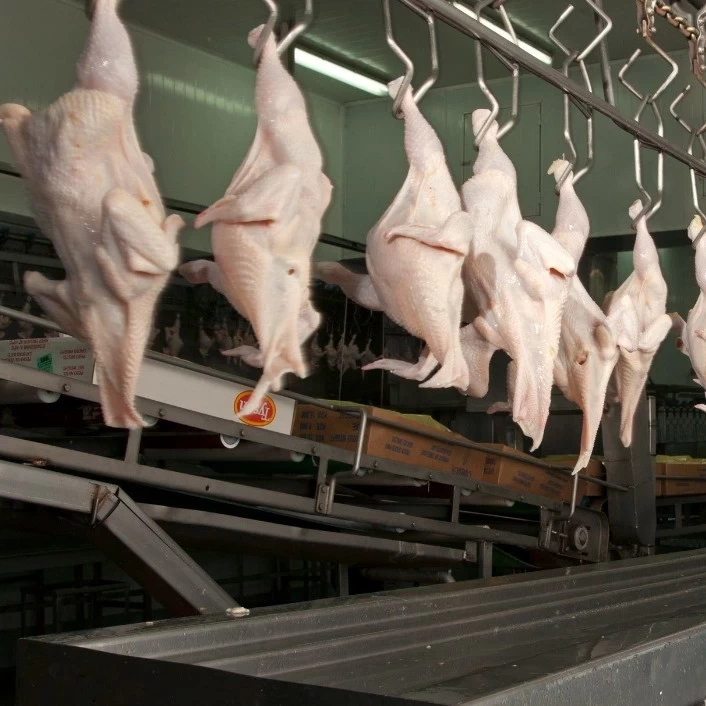 Arabia Saudita habilitó el ingreso de productos aviares procedentes de Argentina