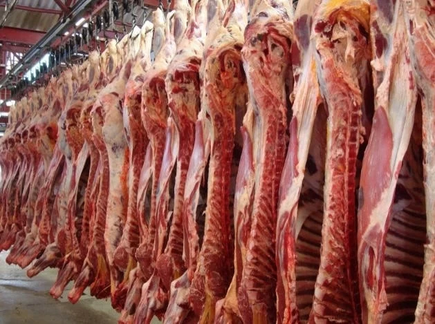 PARAGUAY: ARP LANZARÁ PROGRAMA DE CARNE BOVINA NATURAL
