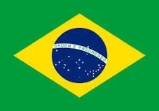 BRASIL: UNA MISIÓN CHINA EVALÚA MATADEROS DE AVES Y CERDOS EN BRASIL