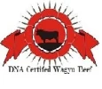 CARNE WAGYU DE URUGUAY S.A