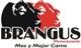 Asociación Venezolana de Brangus, Brangus - Venezuela