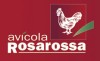 AVICOLA ROSAROSSA