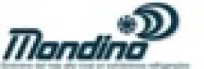 MONDINO SRL